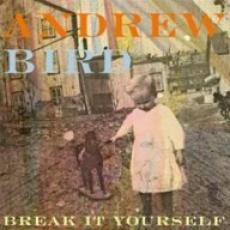CD / Bird Andrew / Break It Yourself