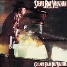 2LP / Vaughan Stevie Ray / Couldn't Stand The Weather / Vinyl