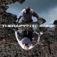 LP / Therapy? / Brief Crack Of Light / Vinyl / coloured