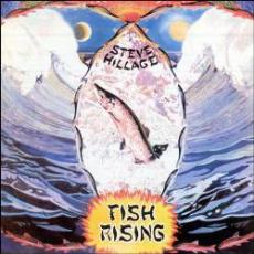 CD / Hillage Steve / Fish Rising / Remastered