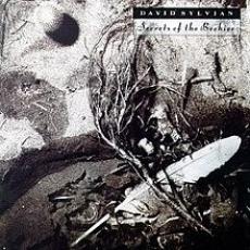 CD / Sylvian David / Secrets Of The Beehive / Remastered