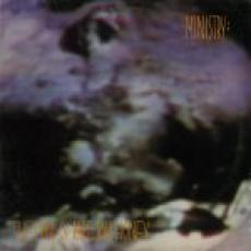 LP / Ministry / Land Of Rape And Honey / Vinyl