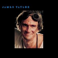 LP / Taylor James / Daddy Loves His Work / Vinyl