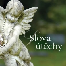 CD / Various / Slova tchy