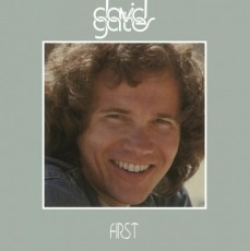 LP / Gates David / First / Vinyl