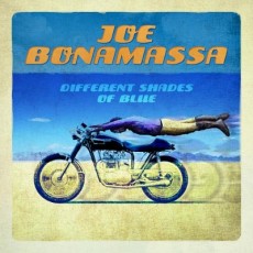 LP / Bonamassa Joe / Different Shades Of Blue / Vinyl