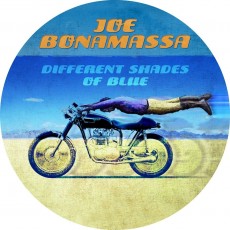 LP / Bonamassa Joe / Different Shades Of Blue / Vinyl / Picture