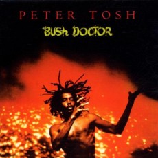 LP / Tosh Peter / Bush Doctor / Vinyl