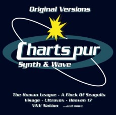 2CD / Various / Charts Pur / Synth & Wave
