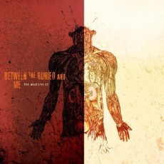 CD / Between The Buried And Me / Anatomy Of