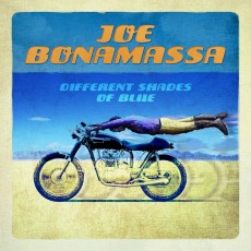 CD / Bonamassa Joe / Different Shades Of Blue
