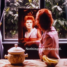 2LP / Bowie David / Nothing Has Changed / 2LP / Vinyl