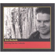 CD / Bochnik Rob/Frames / Blowing Out The Cobwebs