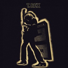 LP / T.Rex / Electric Warrior / Vinyl