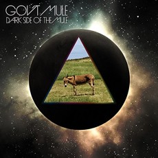 2LP / Gov't Mule / Dark Side Of The Mule / Vinyl / 2LP