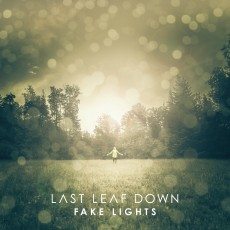 CD / Last Leaf Down / Fake Lights