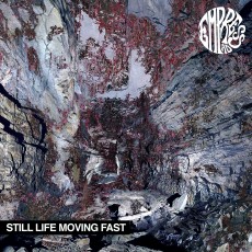 LP / Empressed AD / Still Life Moving Fast / Vinyl