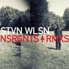 CD / Wilson Steven / Nsrgnts Rmx