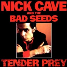 LP / Cave Nick / Tender Pray / Vinyl