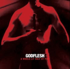 CD / Godflesh / A World Lit Only By Fire