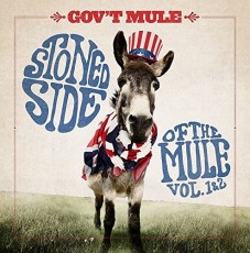 2LP / Gov't Mule / Stoned Side Of The Mule / Vol.1&2 / Vinyl / 2LP