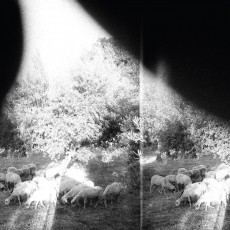CD / Godspeed You!Black Emperor / Asunder,Sweet And Other Dis...