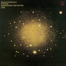 LP / Mahavishnu Orchestra / Between Nothingness & Eternity / Live / Vin