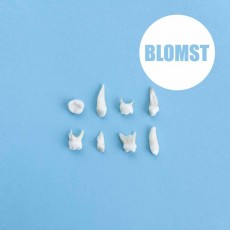 CD / Blomst / Blomst
