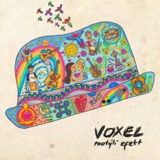 CD / Voxel / Motl Efekt