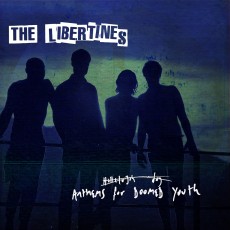 LP / Libertines / Anthems For Doomed Youth / Vinyl