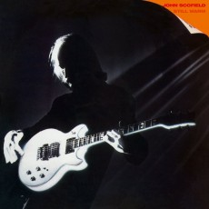 LP / Scofield John / Still Warm / Vinyl
