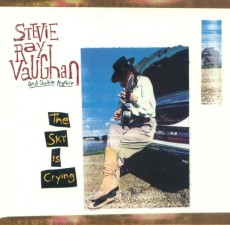 LP / Vaughan Stevie Ray / Sky Is Crying / Vinyl