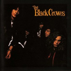 LP / Black Crowes / Shake Your Money Maker / Vinyl