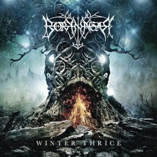 CD / Borknagar / Winter Thrice / Limited Edition / Digipack