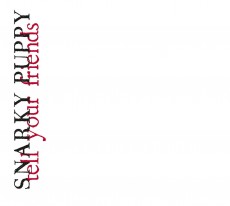 CD / Snarky Puppy / Tell Your Frinds