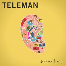 LP / Teleman / Briliant Sanity / Vinyl