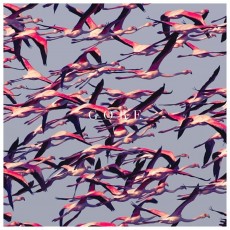 2LP / Deftones / Gore / Vinyl / 2LP