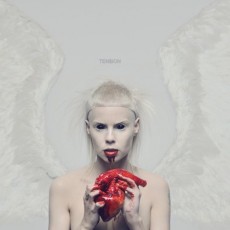 LP / Die Antwoord / Tension / Vinyl