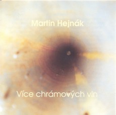 CD / Hejnk Martin / Vce chrmovch vln