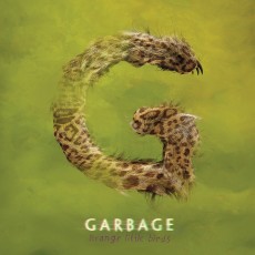 2LP / Garbage / Strange Little Birds / Vinyl / 2LP