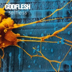 CD / Godflesh / Selfless