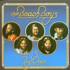 CD / Beach Boys / 15 Big Ones / Love You