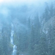 2LP / Wolves In The Throne Room / Diadem Of 12 Stars / Vinyl / 2LP