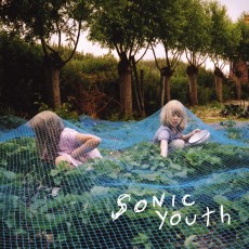 LP / Sonic Youth / Murray Street / Vinyl