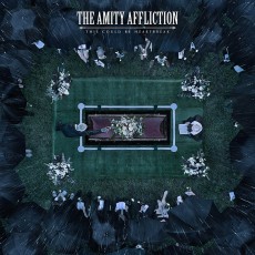 LP / Amity Affliction / This Could Be Heartbreak / Vinyl