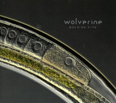 CD / Wolverine / Machina Viva