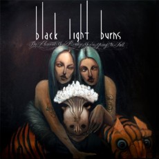 2LP / Black Light Burns / Moment You realize You're Going To.. / Vinyl