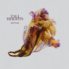 LP / Tall Heights / Neptune / Vinyl