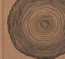 CD / Eskimeaux / Year Of The Rabbit / DeLuxe