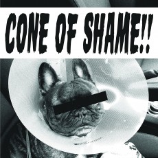 SP / Faith No More / Cone Of Shame / Vinyl / SP / Clear
